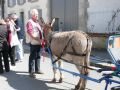 carnaval 01 avril 2012 (34).jpg